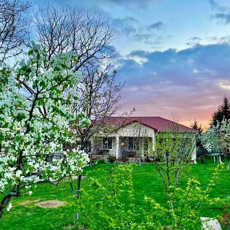 One Dom Cottage Qəbələ Zewnętrze zdjęcie