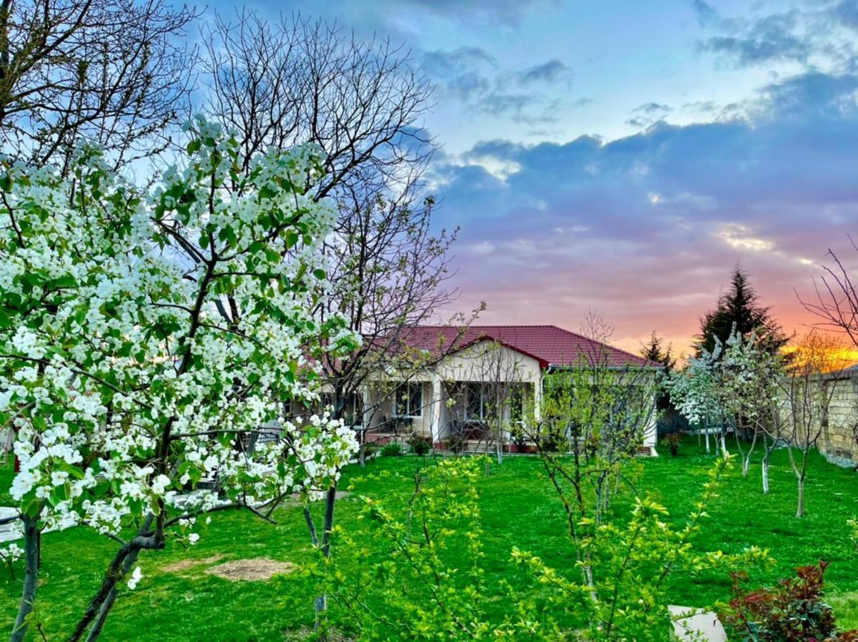 One Dom Cottage Qəbələ Zewnętrze zdjęcie