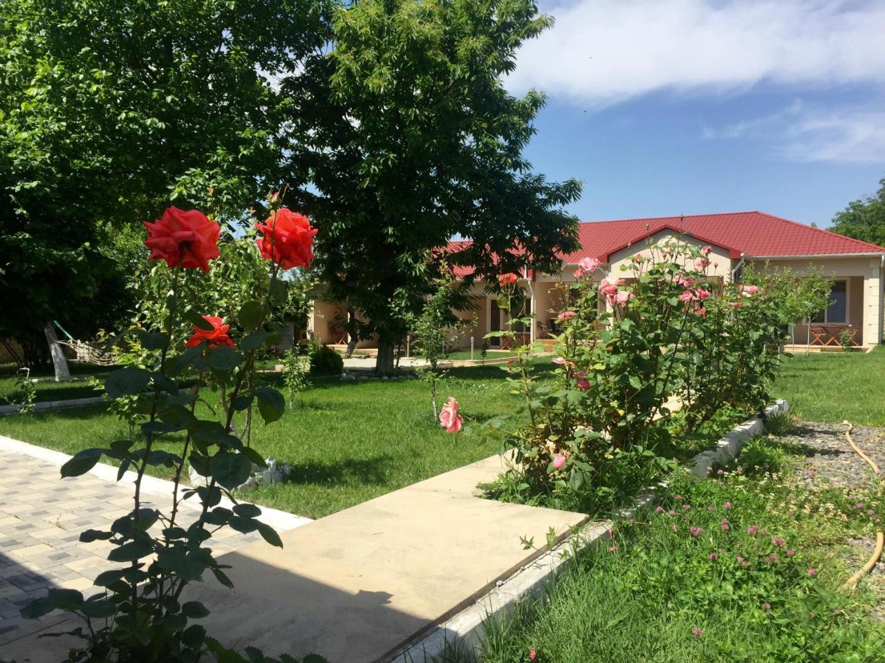 One Dom Cottage Qəbələ Zewnętrze zdjęcie