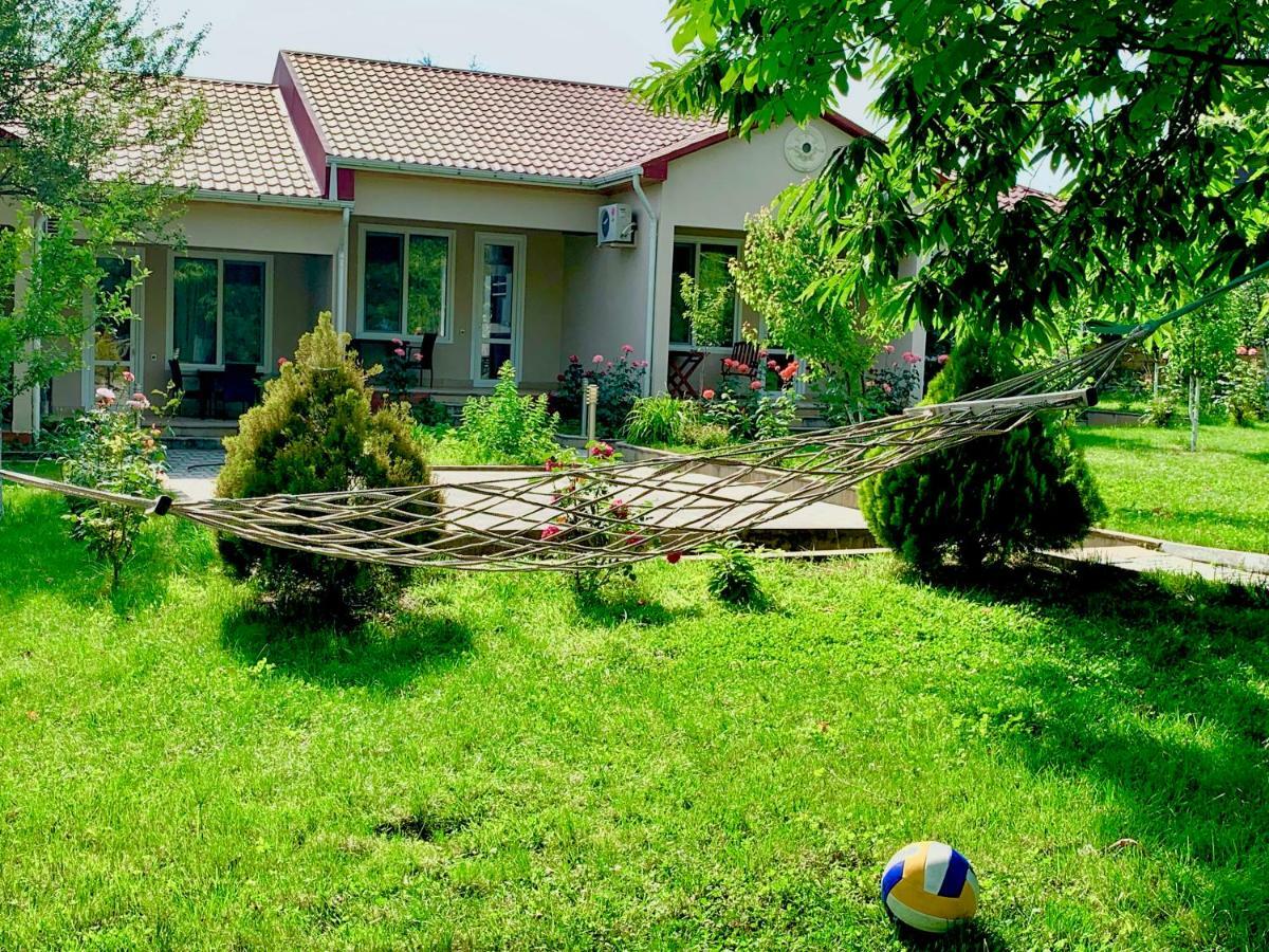One Dom Cottage Qəbələ Zewnętrze zdjęcie