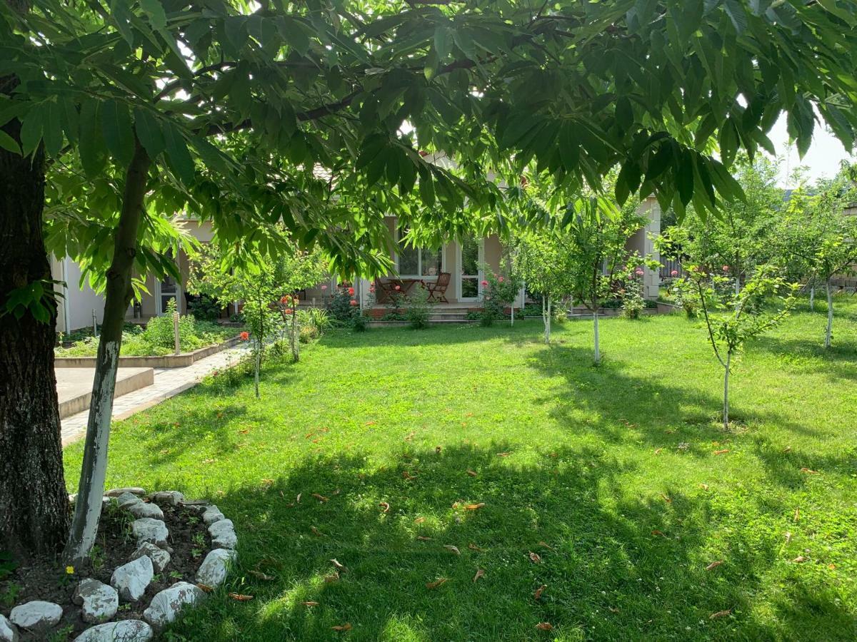 One Dom Cottage Qəbələ Zewnętrze zdjęcie