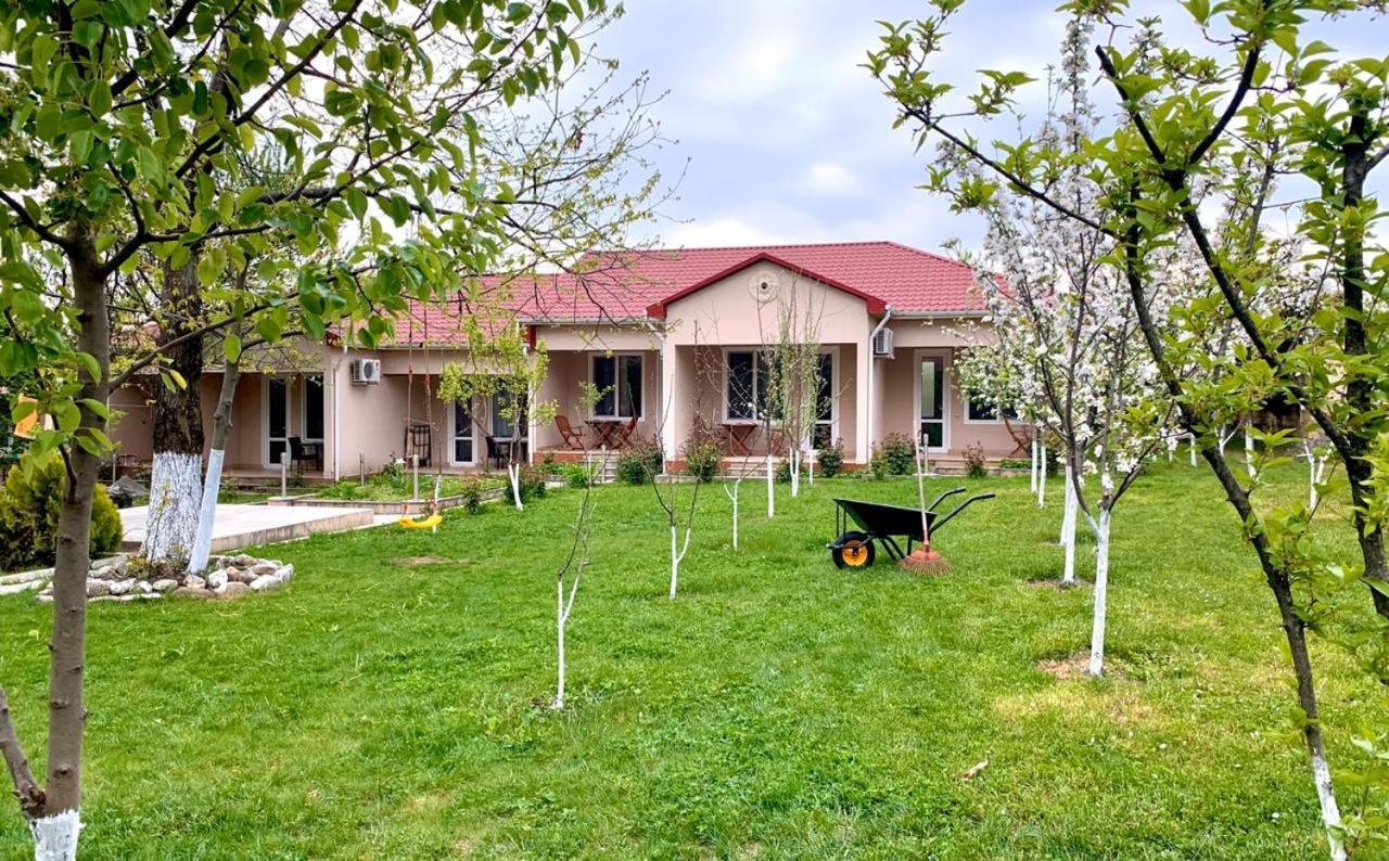 One Dom Cottage Qəbələ Zewnętrze zdjęcie
