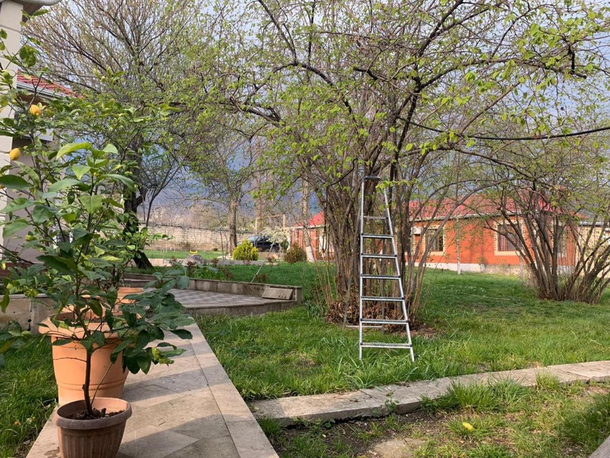 One Dom Cottage Qəbələ Zewnętrze zdjęcie